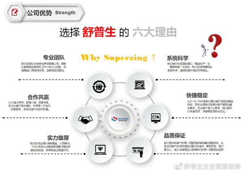 舒普生企业管理咨询与精益六西格玛道场 助力企业软件开发的卓越之路