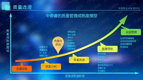 新能源企业管理面临的核心问题与战略挑战