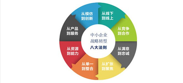 战略转型期的企业管理——复旦管理学者新作导读-软件开发
